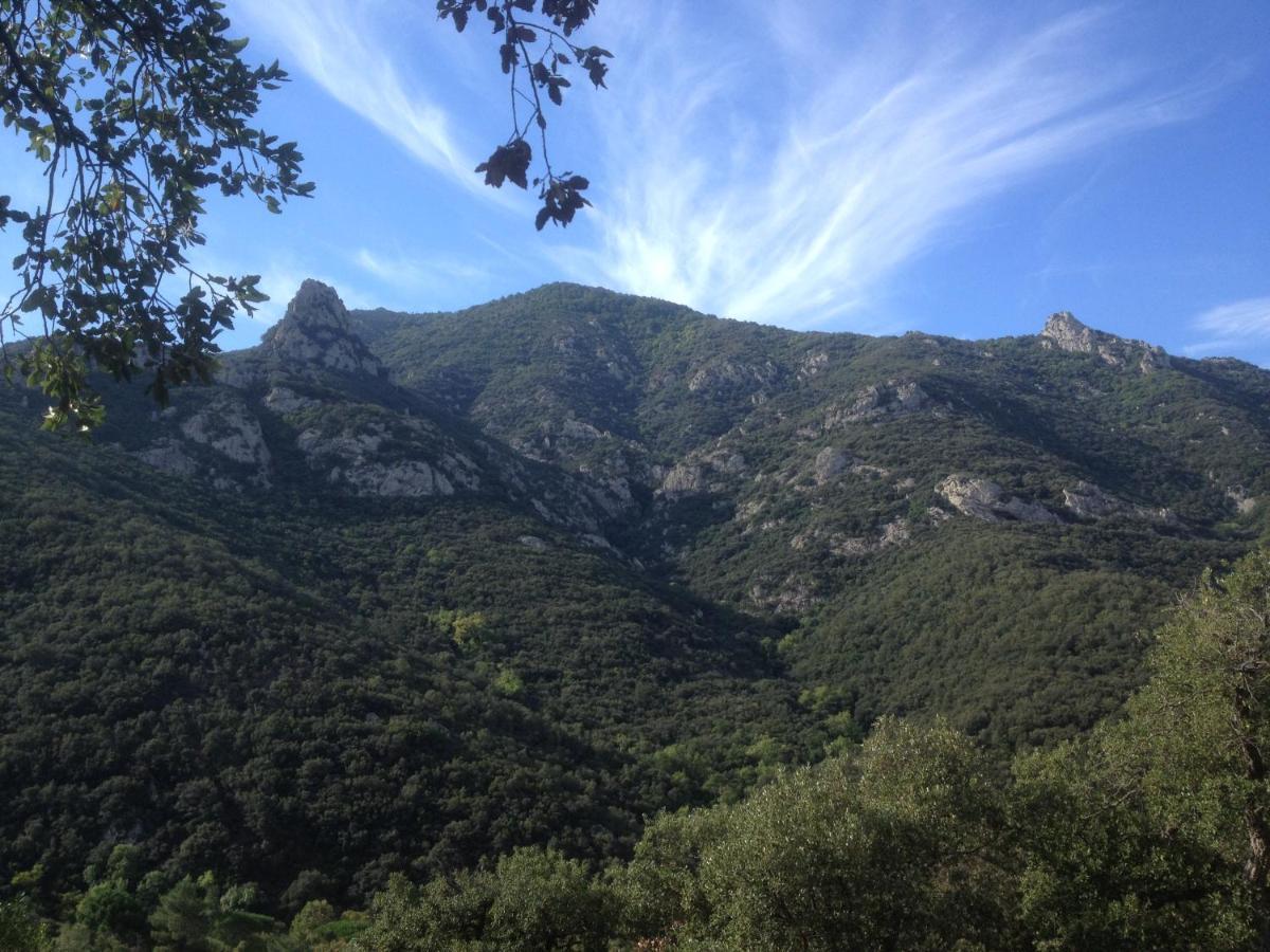 Sorède L'Abri La Vall מראה חיצוני תמונה