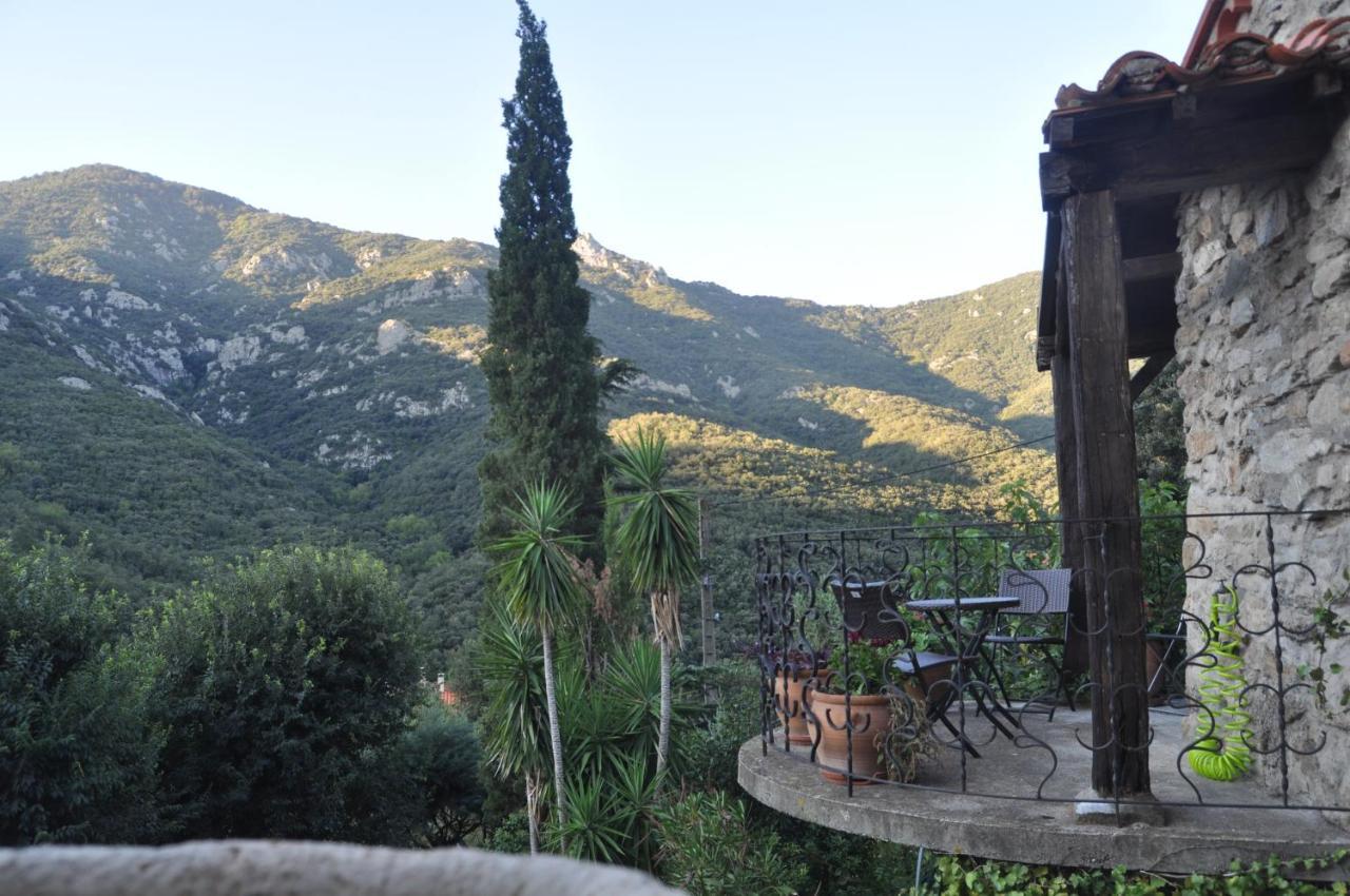 Sorède L'Abri La Vall מראה חיצוני תמונה