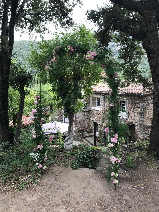 Sorède L'Abri La Vall מראה חיצוני תמונה