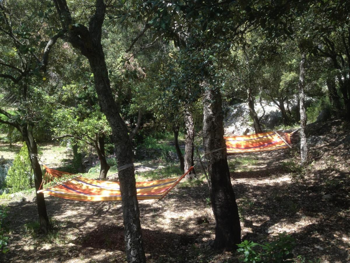 Sorède L'Abri La Vall מראה חיצוני תמונה