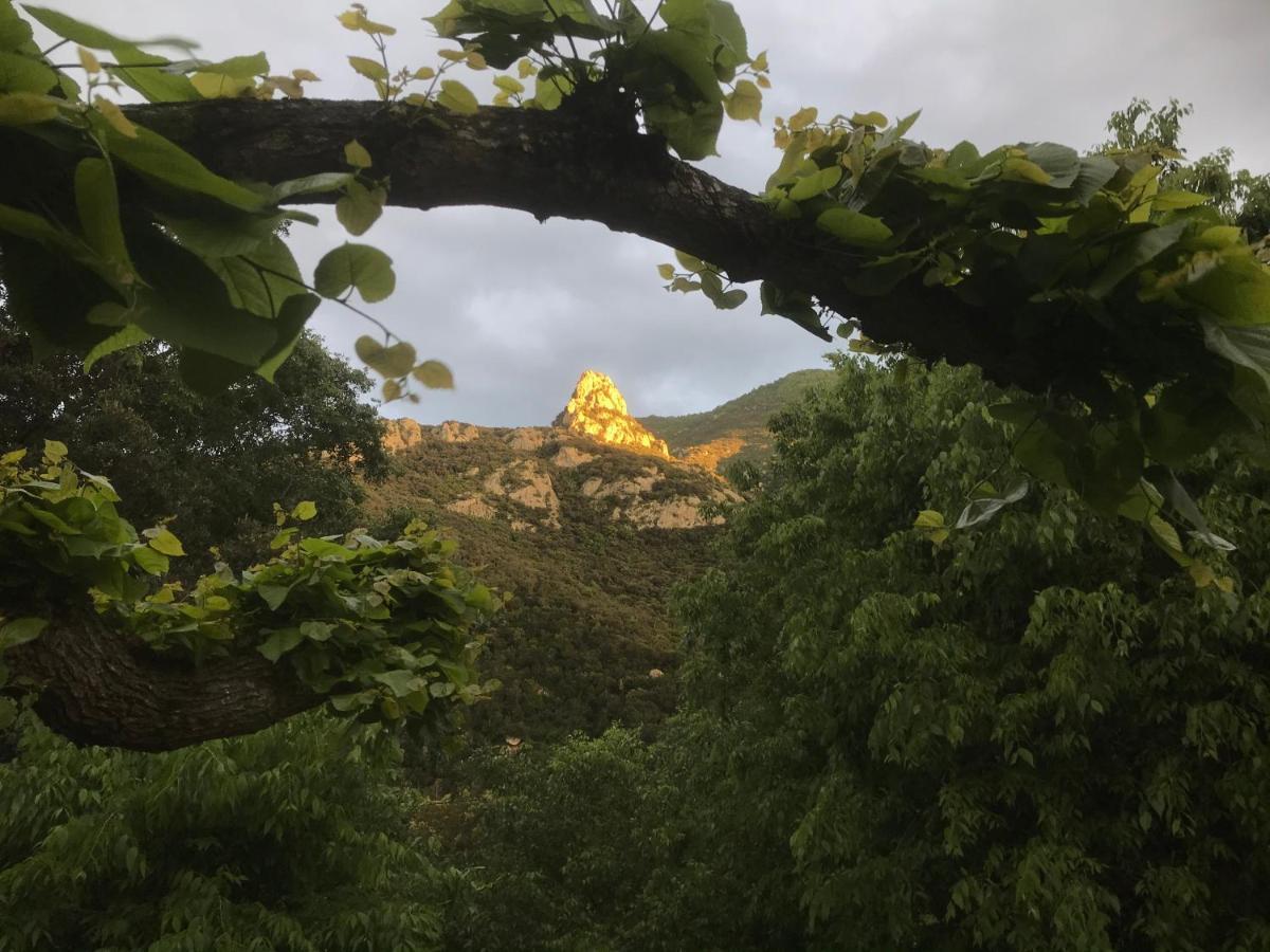 Sorède L'Abri La Vall מראה חיצוני תמונה