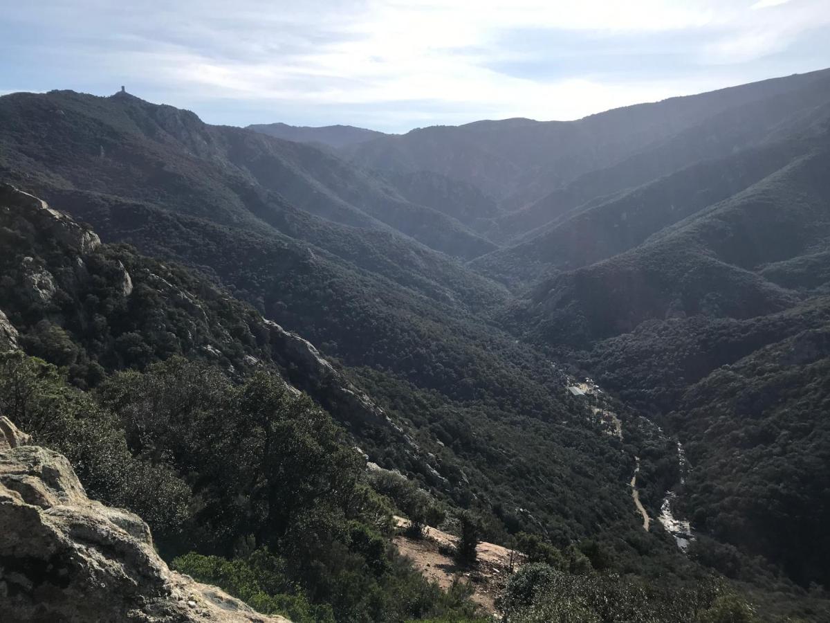 Sorède L'Abri La Vall מראה חיצוני תמונה