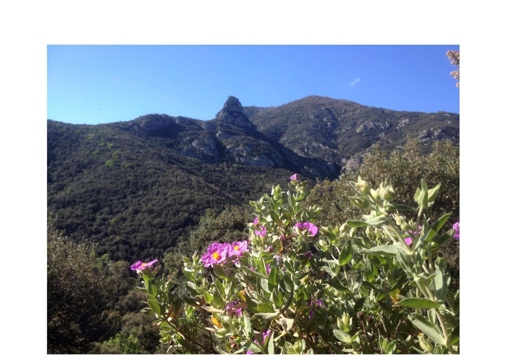 Sorède L'Abri La Vall מראה חיצוני תמונה